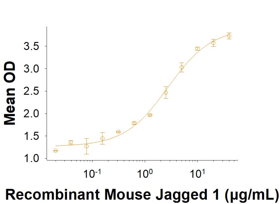 Bioactivity Jagged 1 [Unconjugated]
