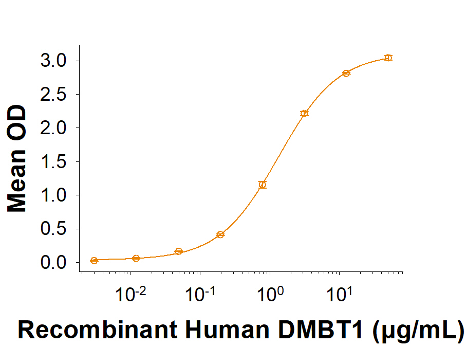 When Recombinant Human Siglec-8 Fc Chimera Protein (9045-SL) is immobilized at 5.0 μg/mL (100 μL/well), the concentration of Recombinant Human DMBT1 His-tag (Catalog # 11032-DB) that produces 50% of the optimal binding response is 0.500-5.00 μg/mL