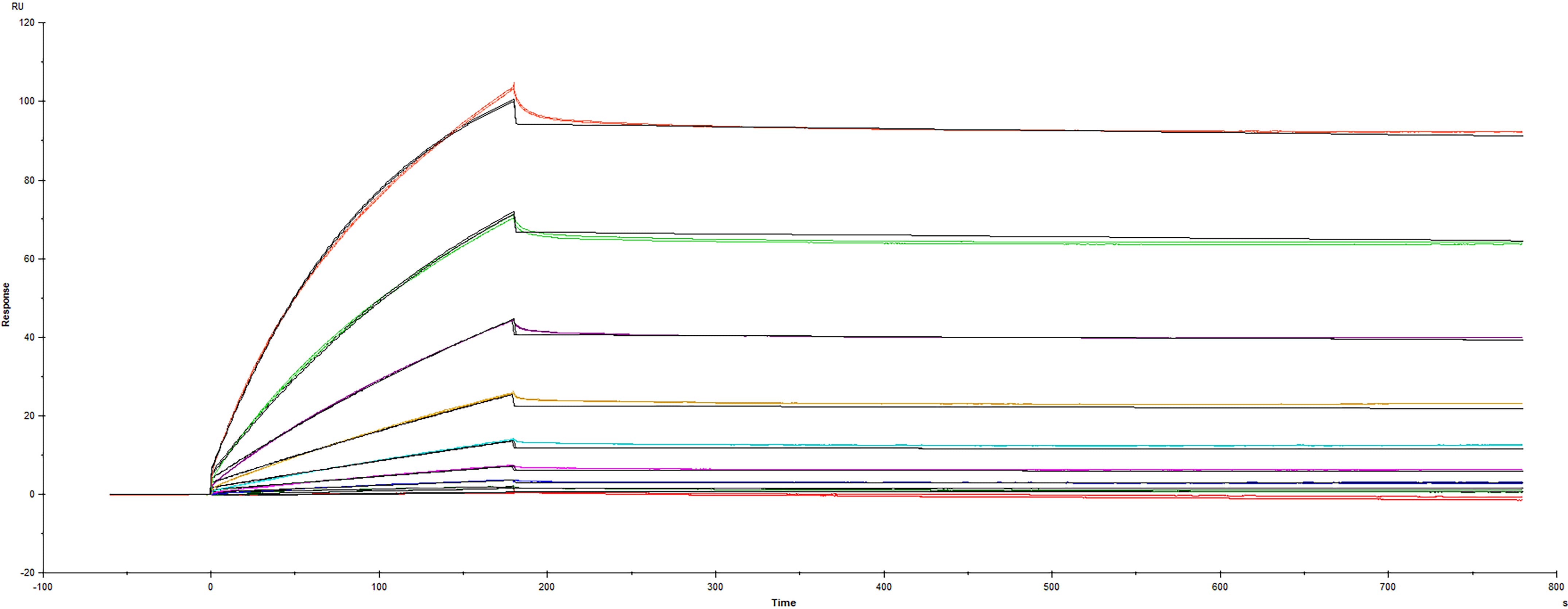 Surface Plasmon Resonance (SPR) SARS-CoV-2 Spike [Unconjugated]