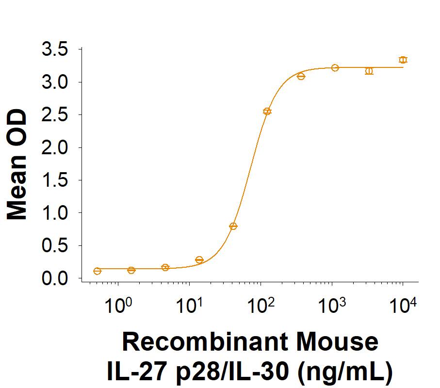Measured by its binding ability in a functional ELISA. When Recombinant Human EBI3 Protein (Catalog # 11084-EI) is immobilized at 5.0 μg/mL (100 μL/well), the concentration of Recombinant Mouse IL-27 p28/IL-30 Protein (7430-ML) that produces 50% of the optimal binding response is 40.0-300 ng/mL.