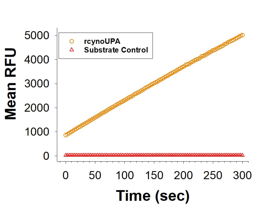 Recombinant Cynomolgous Monkey u-Plasminogen Activator (uPA)/Urokinase His-tag (Catalog # 11098-SE) is measured by its ability to cleave a peptide substrate, N-carbobenzyloxy-Gly-Gly-Arg-7-amido-4-methylcoumarin (Z-GGR-AMC).  