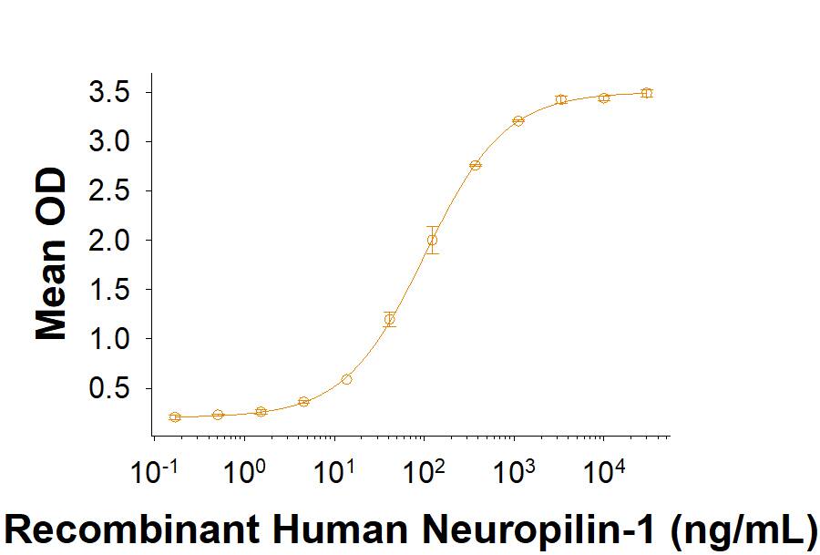 Recombinant SARS-CoV-2 Spike WT (GCN4-IZ) His-tag Protein (Catalog # 11110-CV) binds Recombinant Human Neuropilin-1 Fc Chimera (10455-N1) in a functional ELISA.