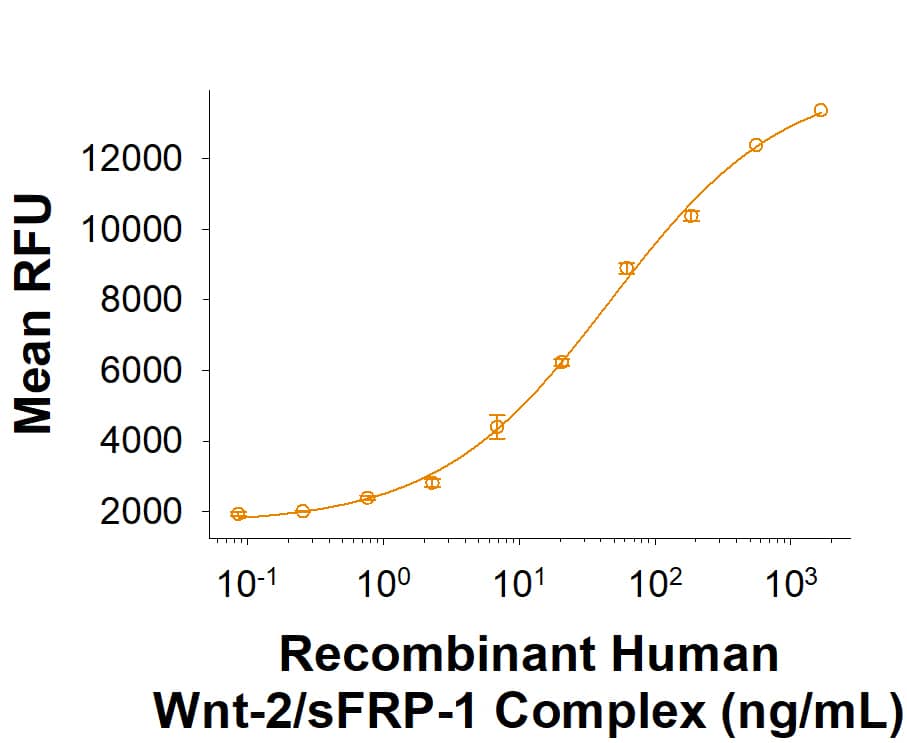 Bioactivity Wnt-2 [Unconjugated]