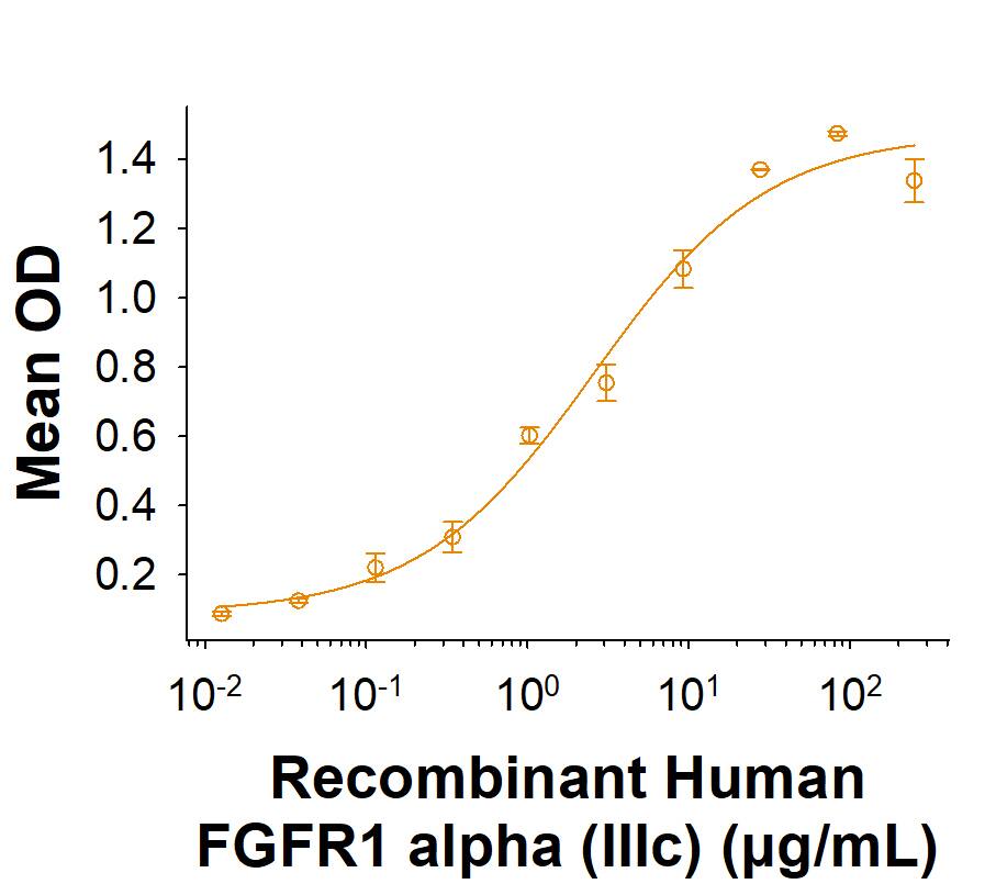 In a Human FGF acidic/FGF1 antibody (AF232) coated plate, in the presence of 50.0 ng/mL of Recombinant Human FGF acidic/FGF1 (232-FA), Human FGFR1 alpha (IIIc) His-tag Protein (Catalog # 11118-FR) binds with an ED50 of 1.00‑5.00 µg/mL.