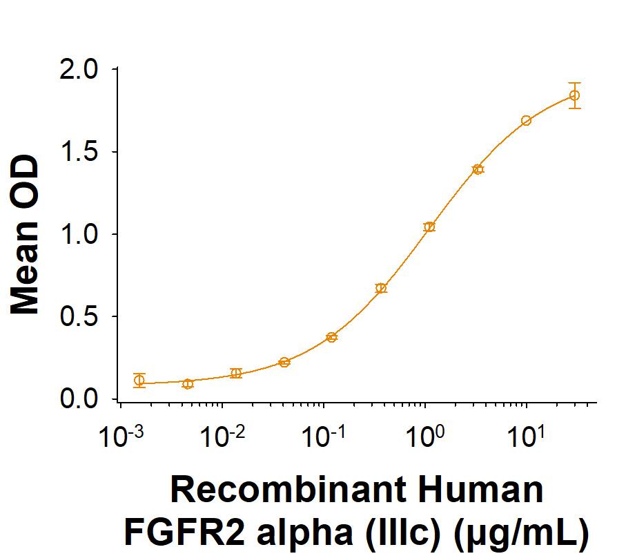 In a Human FGF acidic/FGF1 antibody (AF232) coated plate, in the presence of 50.0 ng/mL of Recombinant Human FGF acidic/FGF1 (232-FA), Human FGFR2 alpha (IIIc) His-tag Protein (Catalog # 11119-FR) binds with an ED50 of 0.400‑2.40 µg/mL.