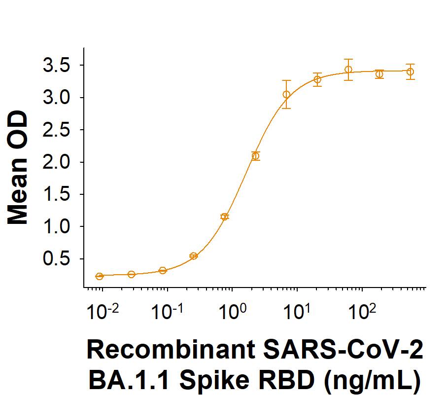 Recombinant SARS-CoV-2 BA.1.1 Spike RBD His-tag Protein (Catalog # 11131-CV) binds Recombinant Human ACE-2 Fc Chimera (10544-ZN) in a functional ELISA.