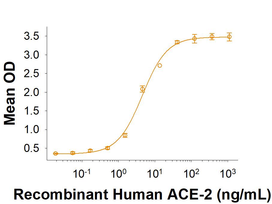 Recombinant SARS-CoV-2 B.1.351 Spike S1 Subunit His-tag Protein (Catalog # 11133-CV) binds Recombinant Human ACE-2 His-tag (933-ZN) in a functional ELISA.