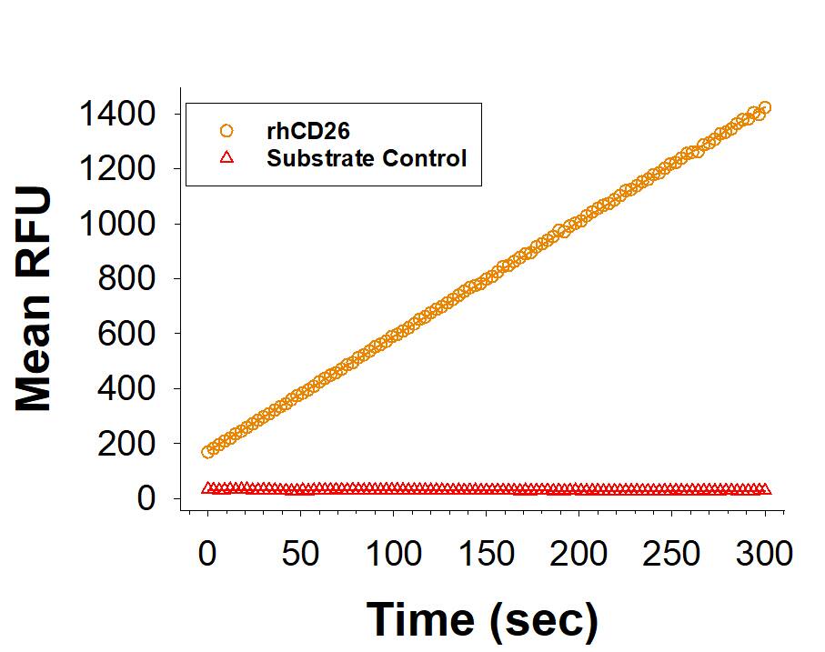 Enzyme Activity DPPIV/CD26 [Unconjugated]