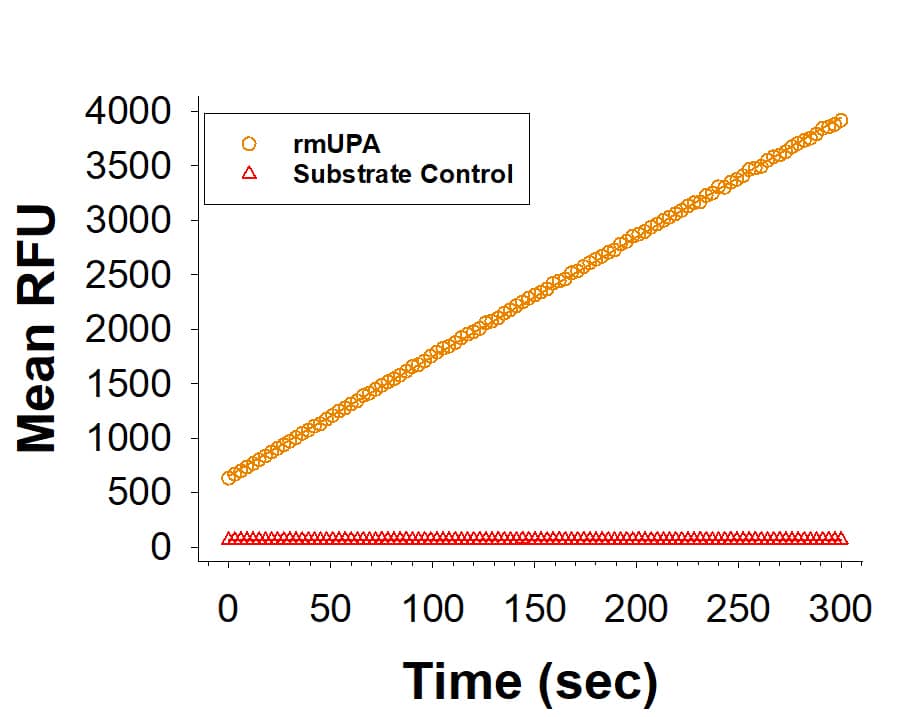 Recombinant Mouse u-Plasminogen Activator (uPA)/Urokinase His-tag (Catalog # 11143-SE) is measured by its ability to cleave a peptide substrate, N-carbobenzyloxy-Gly-Gly-Arg-7-amido-4-methylcoumarin (Z-GGR-AMC).  