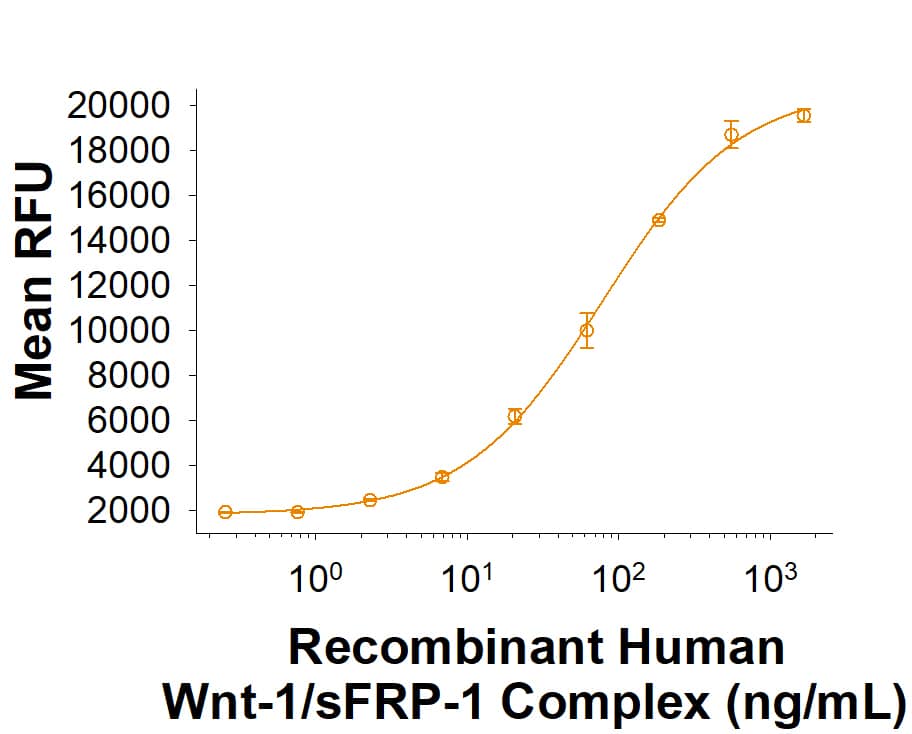 Recombinant Human Wnt-1/sFRP-1 Complex (Catalog # 11160-WN) activates Wnt induced TCF reporter activity in HEK293 human embryonic kidney cells. The ED50 for this effect is 25.0-250 ng/mL.