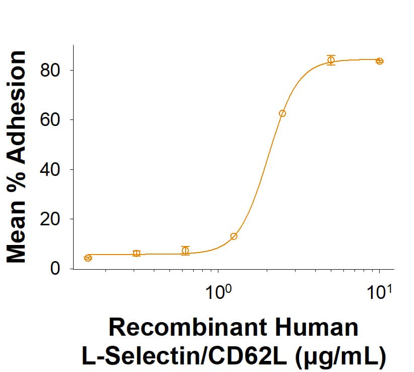 Recombinant Human L‑Selectin/CD62L Fc Chimera Protein (Catalog # 11169-LS) supports the adhesion LS180 human colorectal adenocarcinoma cells. The ED50 for this effect is 0.350-3.50 μg/mL.