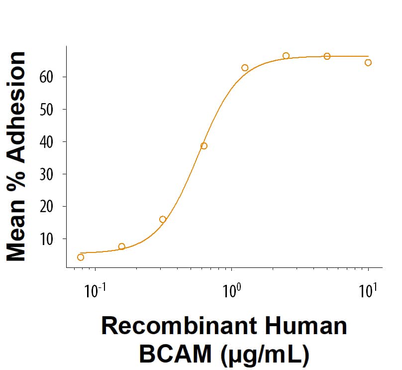 Bioactivity BCAM/CD239 [Unconjugated]