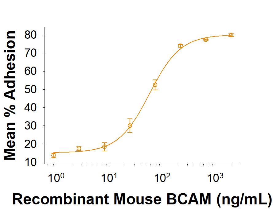 Bioactivity BCAM/CD239 [Unconjugated]