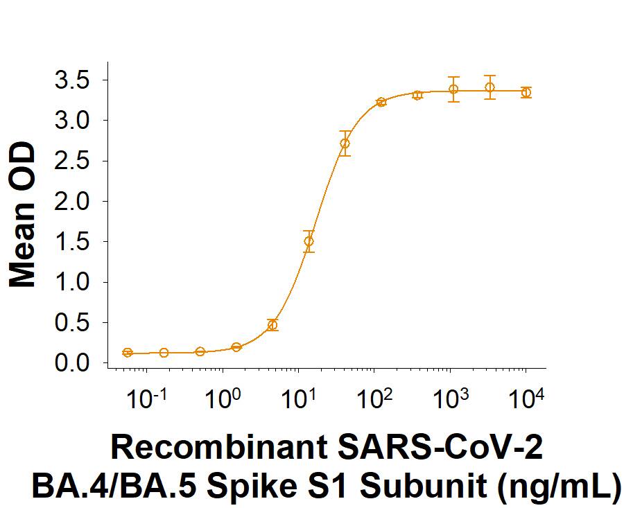 Recombinant SARS-CoV-2 BA.4/BA.5 Spike S1 Subunit His-tag Protein (Catalog # 11184-CV) binds Recombinant Human ACE-2 Fc Chimera (10544-ZN) in a functional ELISA.