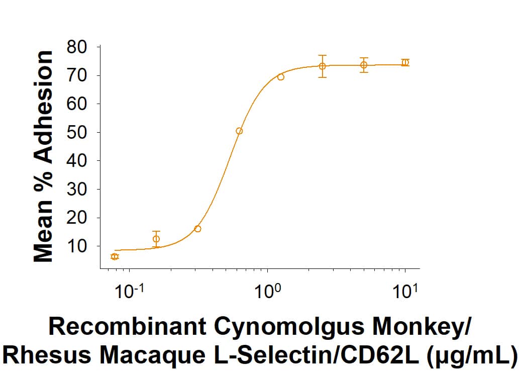 Recombinant Cynomolgus Monkey/Rhesus Macaque L‑Selectin/CD62L Fc Chimera Protein (Catalog # 11192-LS) supports the adhesion LS180 human colorectal adenocarcinoma cells. The ED50 for this effect is 0.300-3.60 μg/mL.