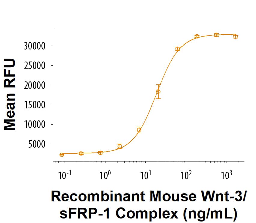 Bioactivity Wnt3 [Unconjugated]