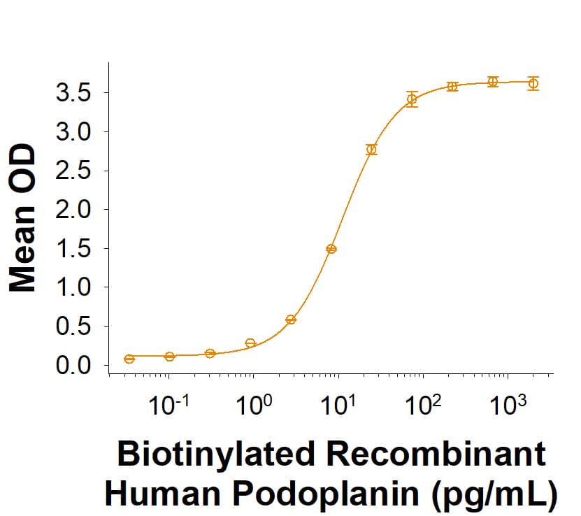 When Recombinant Human CLEC-2/CLEC1B Fc Chimera (Catalog # 11211-CL) is immobilized at 1 µg/mL (100 µL/well), Biotinylated Recombinant Human Podoplanin Fc Chimera binds with an ED50 of 6.00-60.0 pg/mL.
