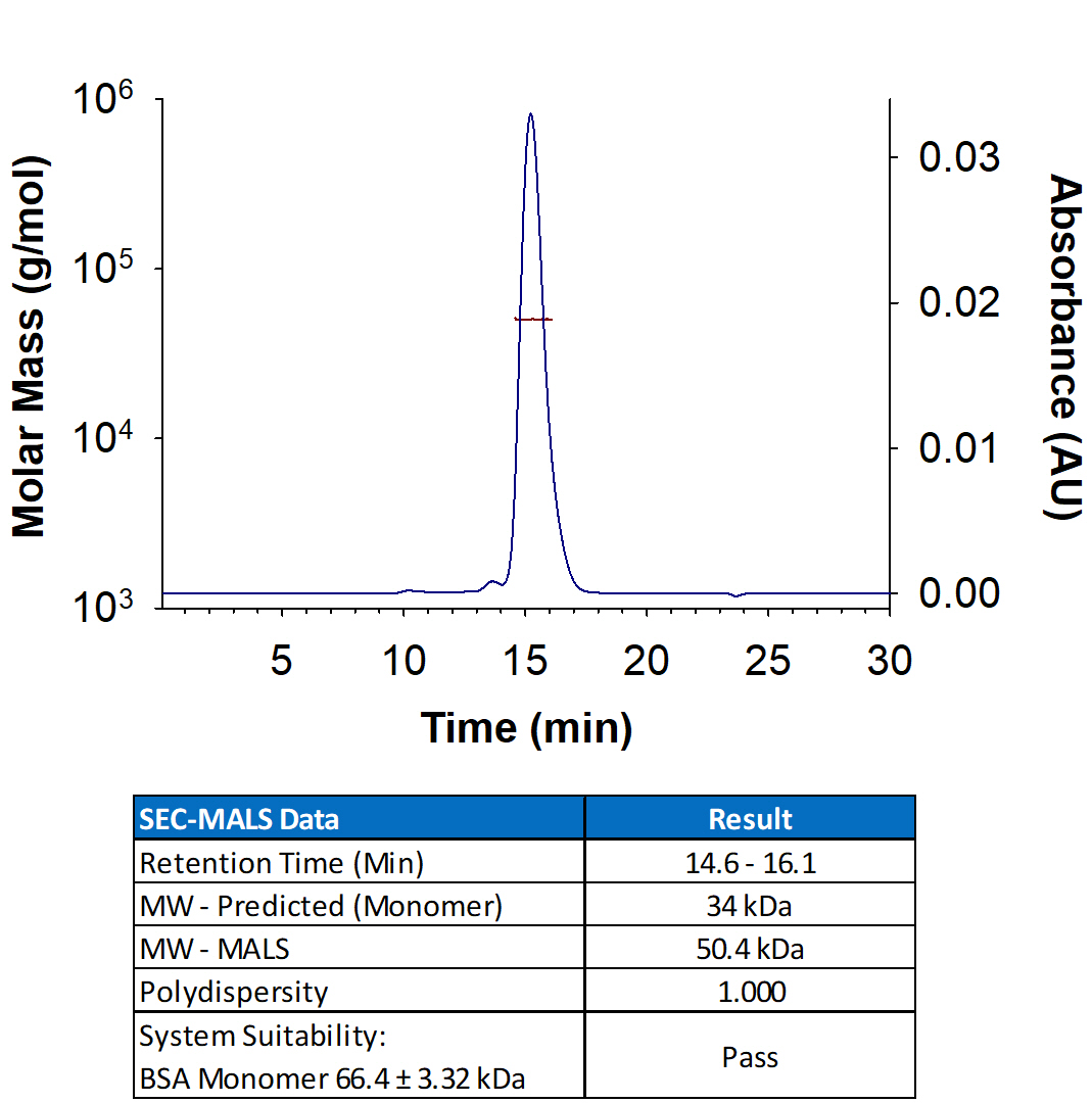 Recombinant Human IL-17RA/IL-17R His-tag Protein (Catalog # 11234-IR) has a molecular weight (MW) of 50.4 kDa as analyzed by SEC-MALS, suggesting that this protein is a monomer. MW may differ from predicted MW due to post-translational modifications (PTMs) present (e.g. Glycosylation).