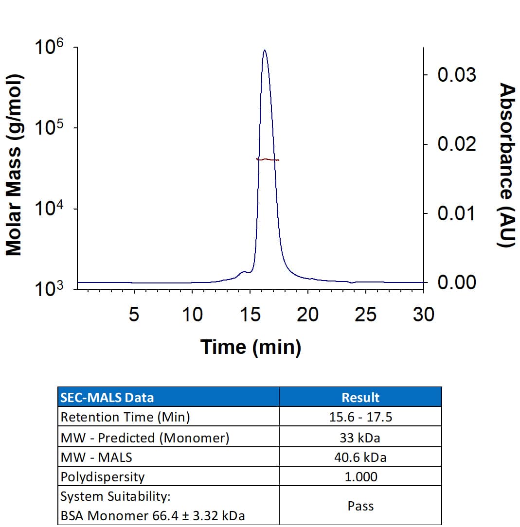 SEC-MALS Monkeypox Virus E8L [Unconjugated]