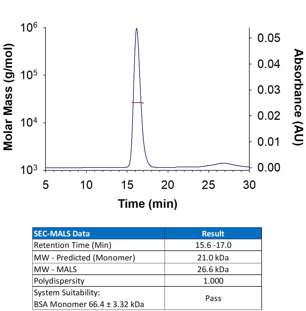 Recombinant Human Erythropoietin/EPO (Catalog # 11264-TC) has a molecular weight (MW) of 26.6 kDa as analyzed by SEC-MALS, suggesting that this protein is a monomer. MW may differ from predicted MW due to post-translational modifications (PTMs) present (e.g. Glycosylation).