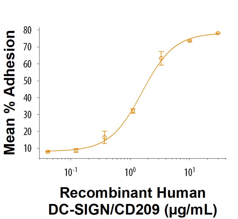 Bioactivity DC-SIGN/CD209 [Unconjugated]