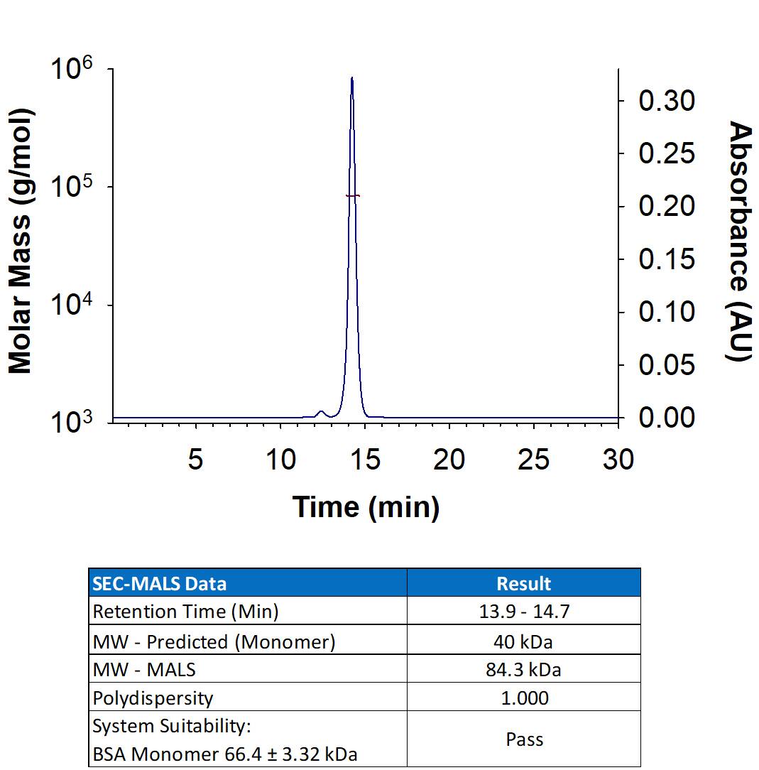 Recombinant Monkeypox Virus Zaire-96-I-16 A35R Fc Chimera Protein (Catalog # 11278-MX) has a molecular weight (MW) of 84.3 kDa as analyzed by SEC-MALS, suggesting that this protein is a homodimer. MW may differ from predicted MW due to post-translational modifications (PTMs) present (e.g. Glycosylation).