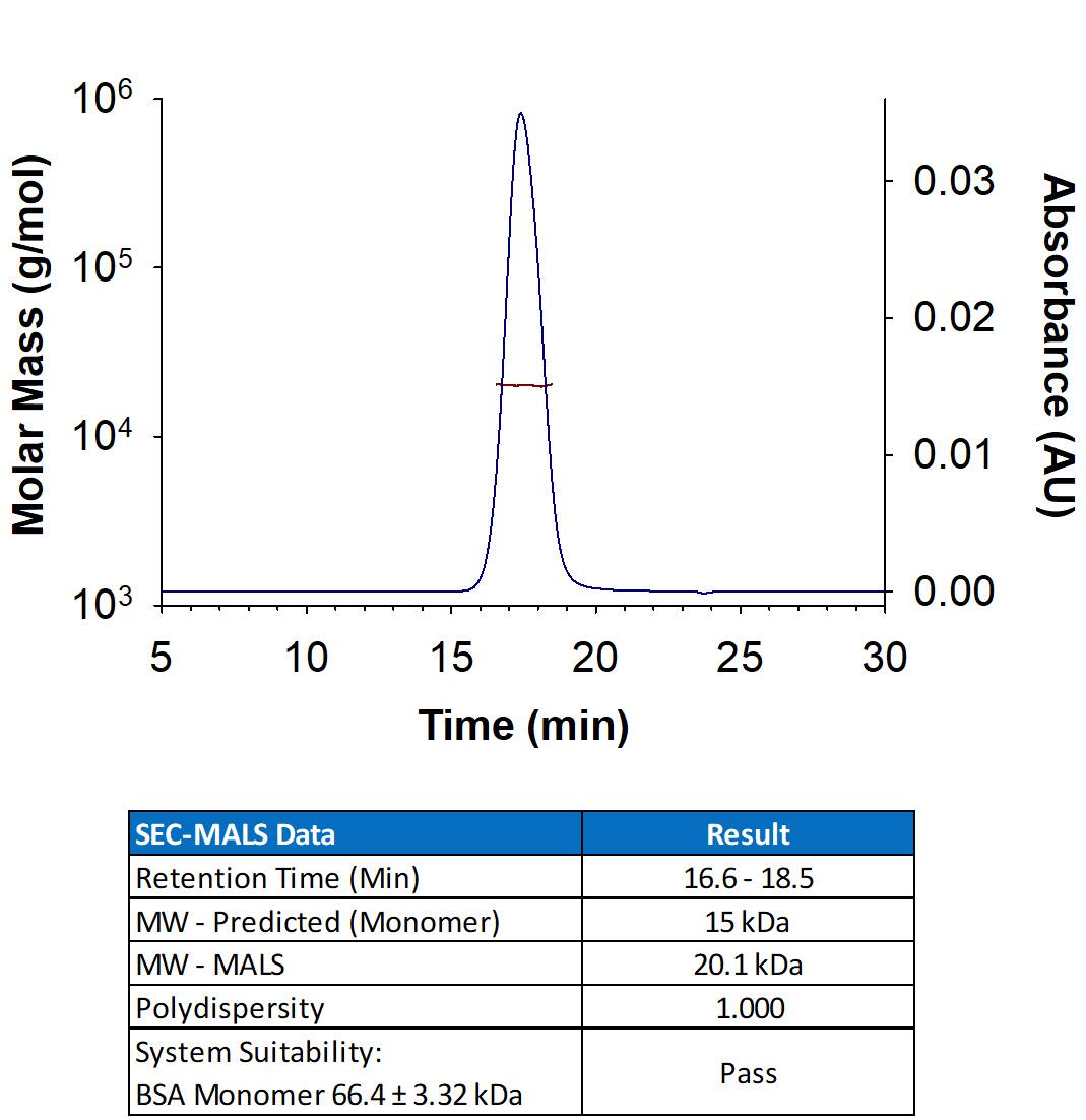 Recombinant Monkeypox Virus Zaire-96-I-16 A30L His-tag Protein (Catalog # 11282-MX) has a molecular weight (MW) of 20.1 kDa as analyzed by SEC-MALS, suggesting that this protein is a monomer.