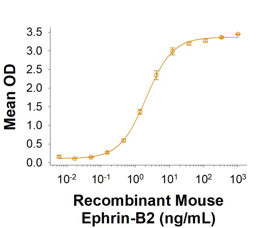 When Recombinant Human EphB4 Fc Chimera Protein (Catalog # 11307-B4) is immobilized at 0.3 µg/mL (100 µL/well), Recombinant Mouse Ephrin-B2 Fc Chimera Protein (496-EB) binds with an ED50 of 0.600-7.20 ng/mL.