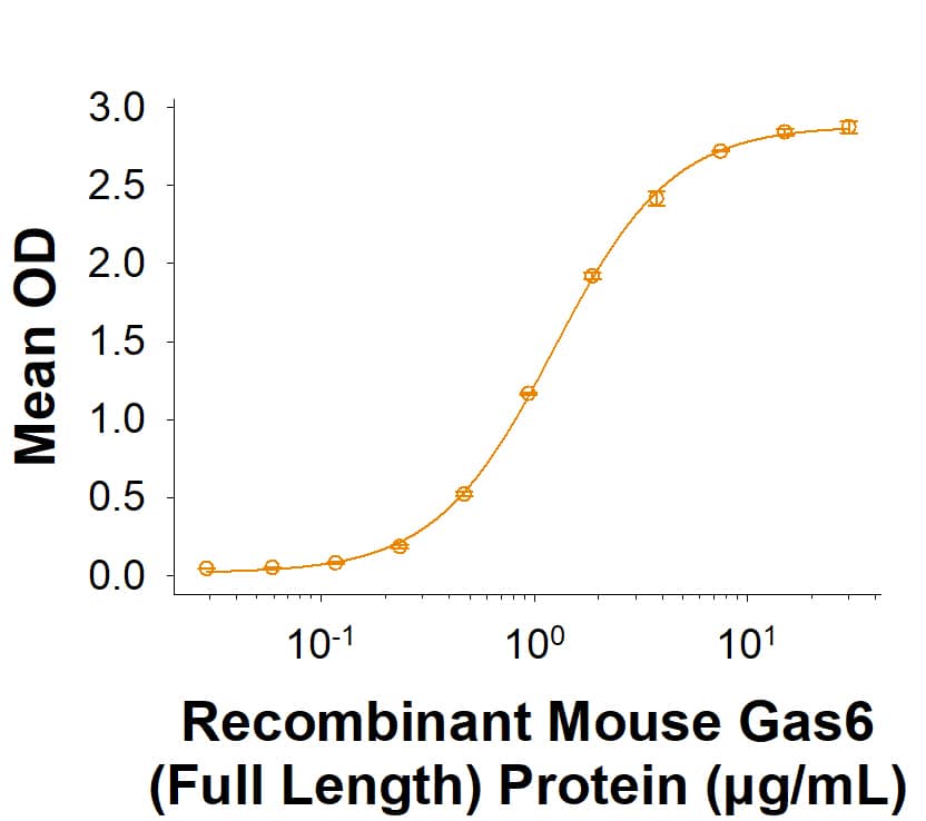 Measured by its binding ability in a functional ELISA. When Recombinant Mouse Mer Fc Chimera (HEK293-expressed) (Catalog # 11314-MR) is immobilized at 2.00 µg/mL (100 µL/well), Recombinant Mouse Gas6 (Full Length) Protein (8310-GS) binds with an ED50 of 0.400 -3.60 µg/mL