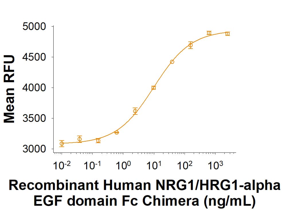 Recombinant Human NRG1/HRG1-alpha EGF domain Fc Chimera Protein (Catalog # 11343-NR)  stimulates proliferation of MCF 7 human breast cancer cells. The ED50 for this effect is 4.00-40.0 ng/mL.