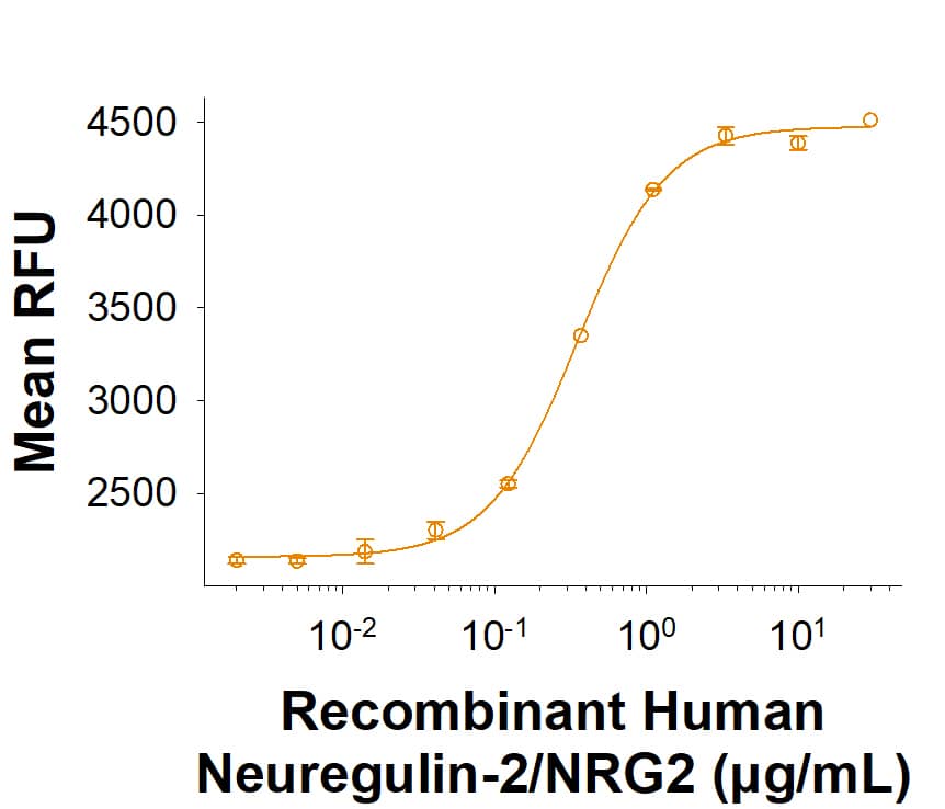 Recombinant Human Neuregulin‑2/NRG2 His-tag Protein (Catalog # 11355-NR) induces MCF‑7 human breast cancer cell proliferation. The ED&lt;sub&gt;50&lt;/sub&gt; for this effect is 0.100&amp;#8209;1.00&amp;#160;μg/mL