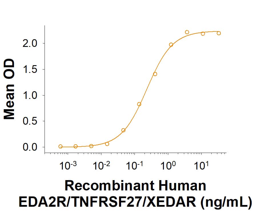 When Recombinant Human EDA-A2/Ectodysplasin A2 (922-ED/CF) is immobilized at 1 µg/mL (100 µL/well), Recombinant Human EDA2R/TNFRSF27/XEDAR His-tag Protein (Catalog # 11358-XD) binds with an ED50 of 40.0‑500 ng/mL.