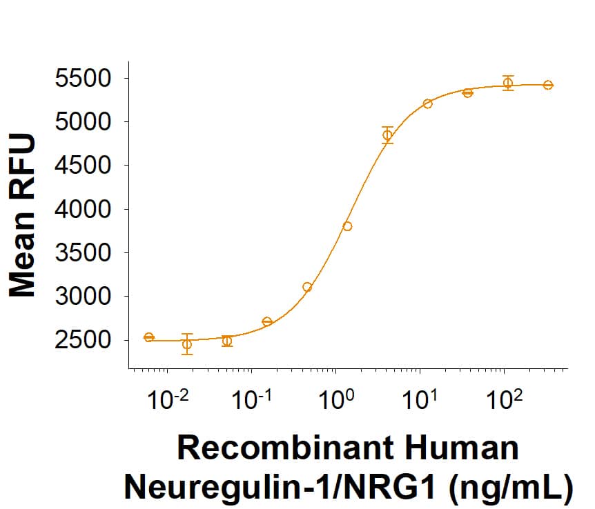 Recombinant Human Neuregulin-1/NRG1 His-tag Protein (Catalog # 11422-NR) induces cell proliferation of MCF-7 human breast cancer cells. The ED50 for this effect is 0.250-2.50 ng/mL.