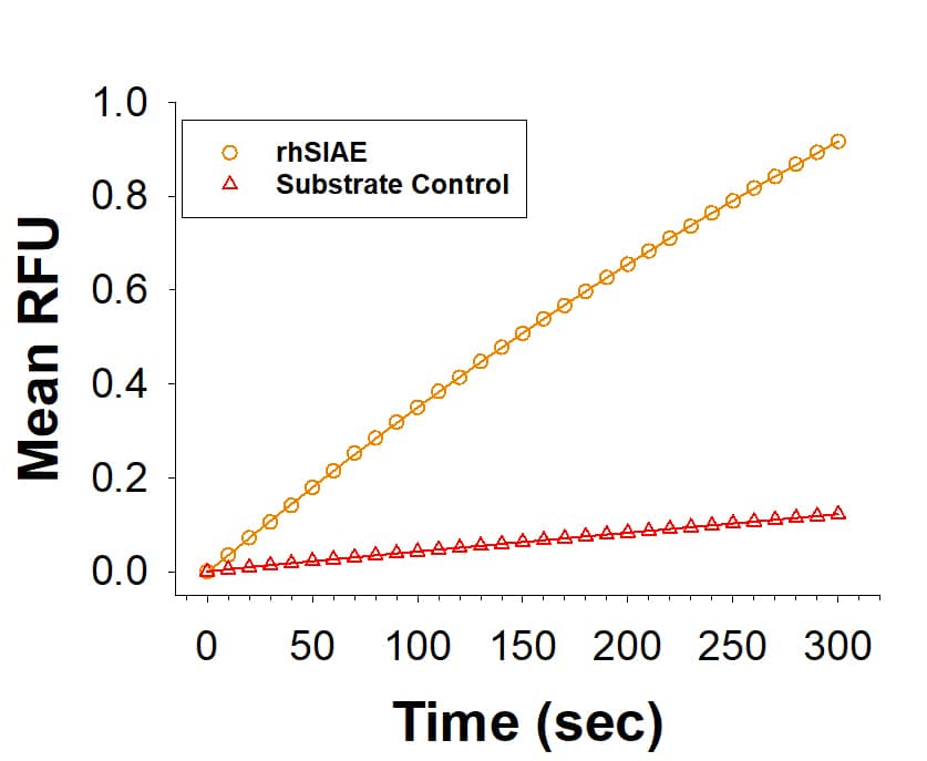 Enzyme Activity Saccharomyces Cerevisiae [Unconjugated]