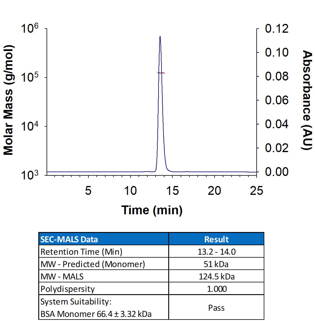 SEC-MALS BTN2A1 [Unconjugated]