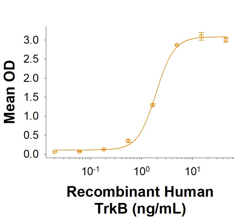 Recombinant Human TrkB His-tag Protein (Catalog # 11549-TK) binds Recombinant Human BDNF (BT-BDNF) with an ED50 of 1.50‑20.0 ng/mL.