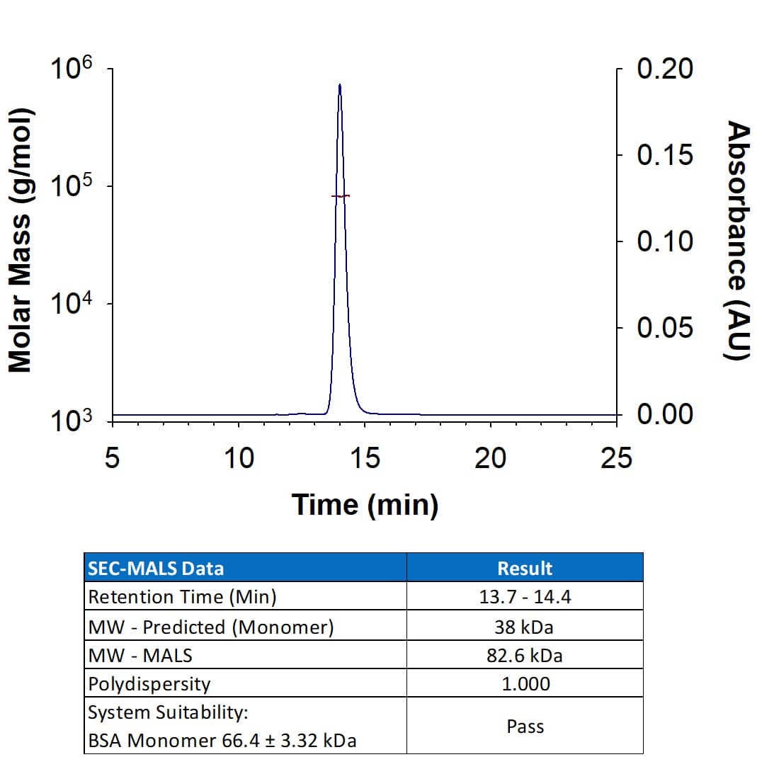 SEC-MALS TSPAN8/TM4SF3 [Unconjugated]