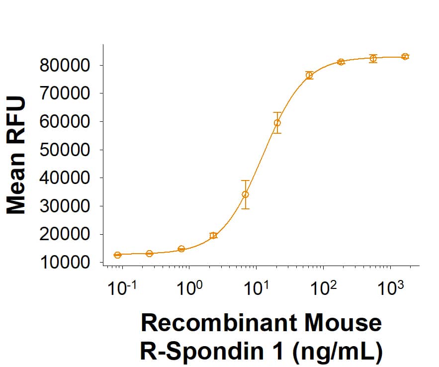 Recombinant Mouse R-Spondin 1 Fc Chimera Protein (Catalog # 11566-RS) activates TCF reporter activity in HEK293 human embryonic kidney cells in the presence of Wnt-3a. The ED50 for this effect is 5.00-75.0 ng/mL.