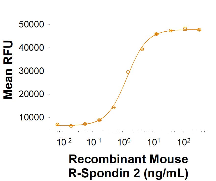 Recombinant Mouse R-Spondin 2 Fc Chimera Protein (Catalog # 11567-RS) activates TCF reporter activity in HEK293 human embryonic kidney cells in the presence of Wnt-3a. The ED50 for this effect is 0.600-12.0 ng/mL.