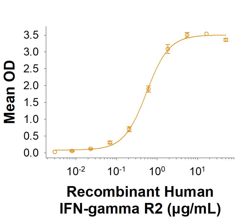 Recombinant Human IFN-gamma  R2 His-tag (Catalog # 11576-GR) binds Recombinant Human IFN-gamma  (285-IF) in the presence of Recombinant Human IFN-gamma  R1/CD119 (673-IR/CF) with an ED50 of 0.200‑3.00 μg/mL.