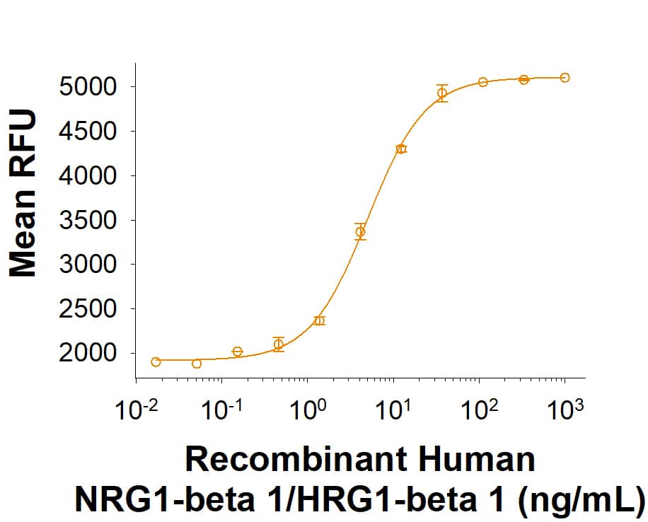 Recombinant Human NRG1-beta 1/HRG1-beta 1 Fc Chimera Protein (Catalog # 11610-NR) induces the proliferation of MCF-7 human breast cancer cells.