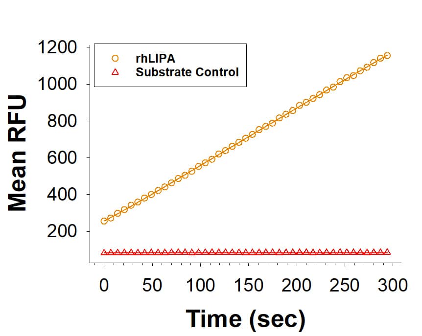 Recombinant Human LIPA HA-tag His-tag (Catalog # 11633-LA) is measured by its ability to cleave a fluorogenic peptide substrate, 4-Methylumbelliferyl oleate (4-MUO).