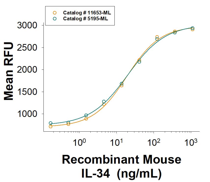 Equivalent Bioactivity of Recombinant Mouse IL‑34 His-tag Protein (Catalog # 11653-ML) and Recombinant Mouse IL-34 Protein (5195-ML) as measured in a cell proliferation assay using M‑NFS‑60 mouse myelogenous leukemia lymphoblast cells (orange and green, respectively).