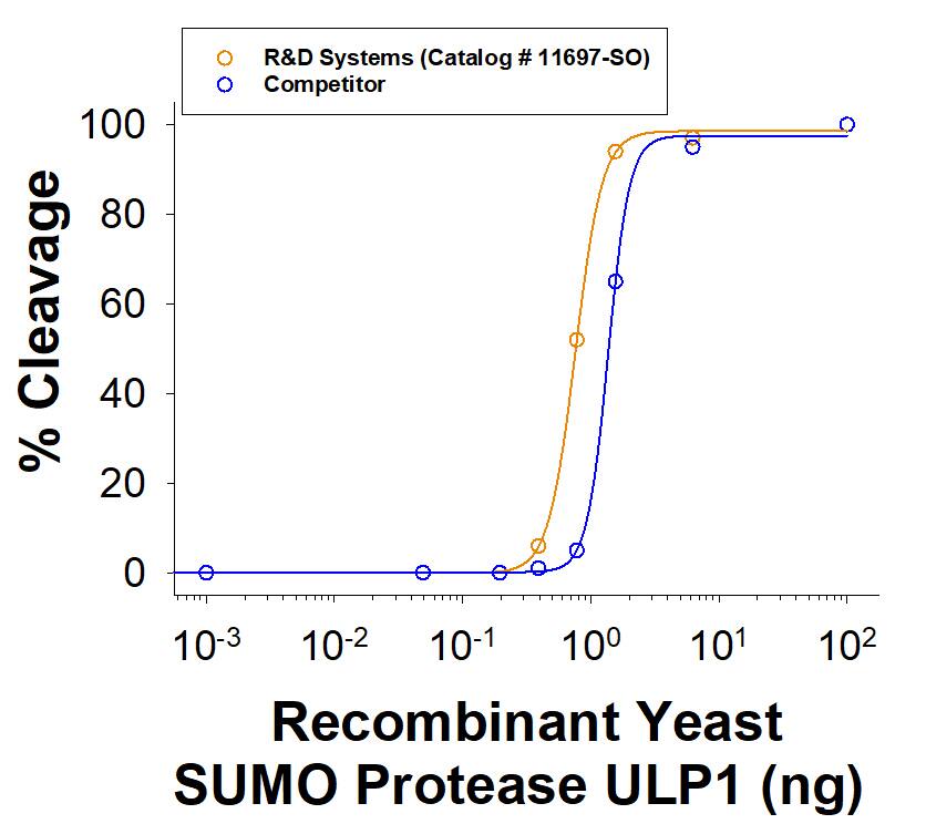 Recombinant Yeast SUMO Protease ULP1 His-tag activity is measured by its ability to cleave SUMO-GFP Protease Substrate (11698-SO). The R&D Systems protein has higher activity than competitor protein in direct comparison.
