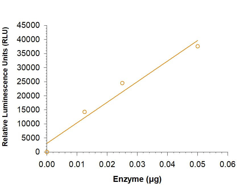 Recombinant Human GSK-3 beta His-tag (Catalog # 11739-KS) is measured by its ability to transfer phosphate from adenosine triphosphate (ATP) to a peptide substrate.