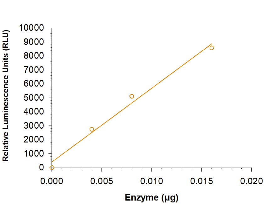 Recombinant Human VEGFR2/KDR/Flk-1 kinase domain His-tag (Catalog # 11740-KD) is measured by its ability to transfer phosphate from adenosine triphosphate (ATP) to a synthetic peptide substrate.