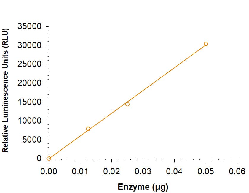 Enzyme Activity BTK [Unconjugated]
