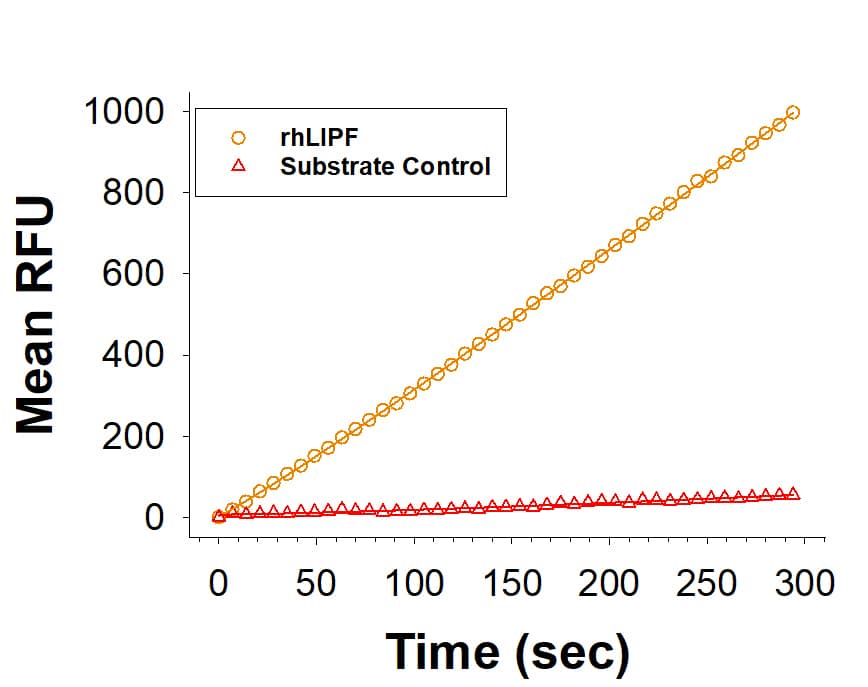 Recombinant Human Gastric Lipase/LIPF HA-tag His-tag (Catalog # 11772-GL) is measured by its ability to cleave a fluorogenic substrate, 4-Methylumbelliferyl oleate (4-MUO).