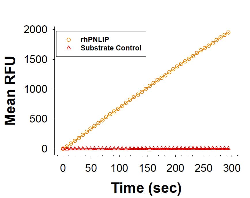 Recombinant Human Pancreatic Lipase/PNLIP HA-tag His-tag (Catalog # 11773-PL) is measured by its ability to cleave a fluorogenic substrate, 4-Methylumbelliferyl oleate (4-MUO).
