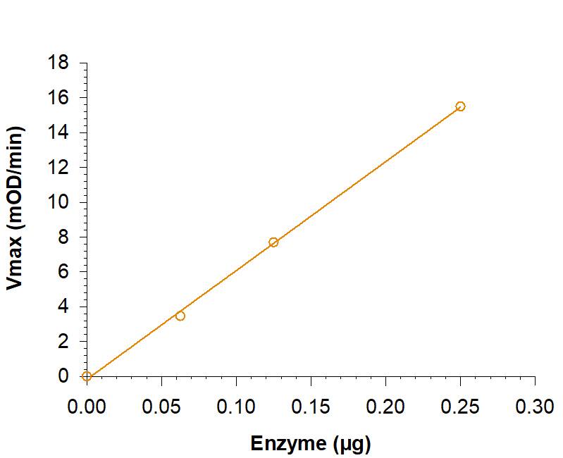 Recombinant Human GALT His-tag (Catalog # 11776-GT) is measured by its ability to hydrolyze UDP-Glucose.